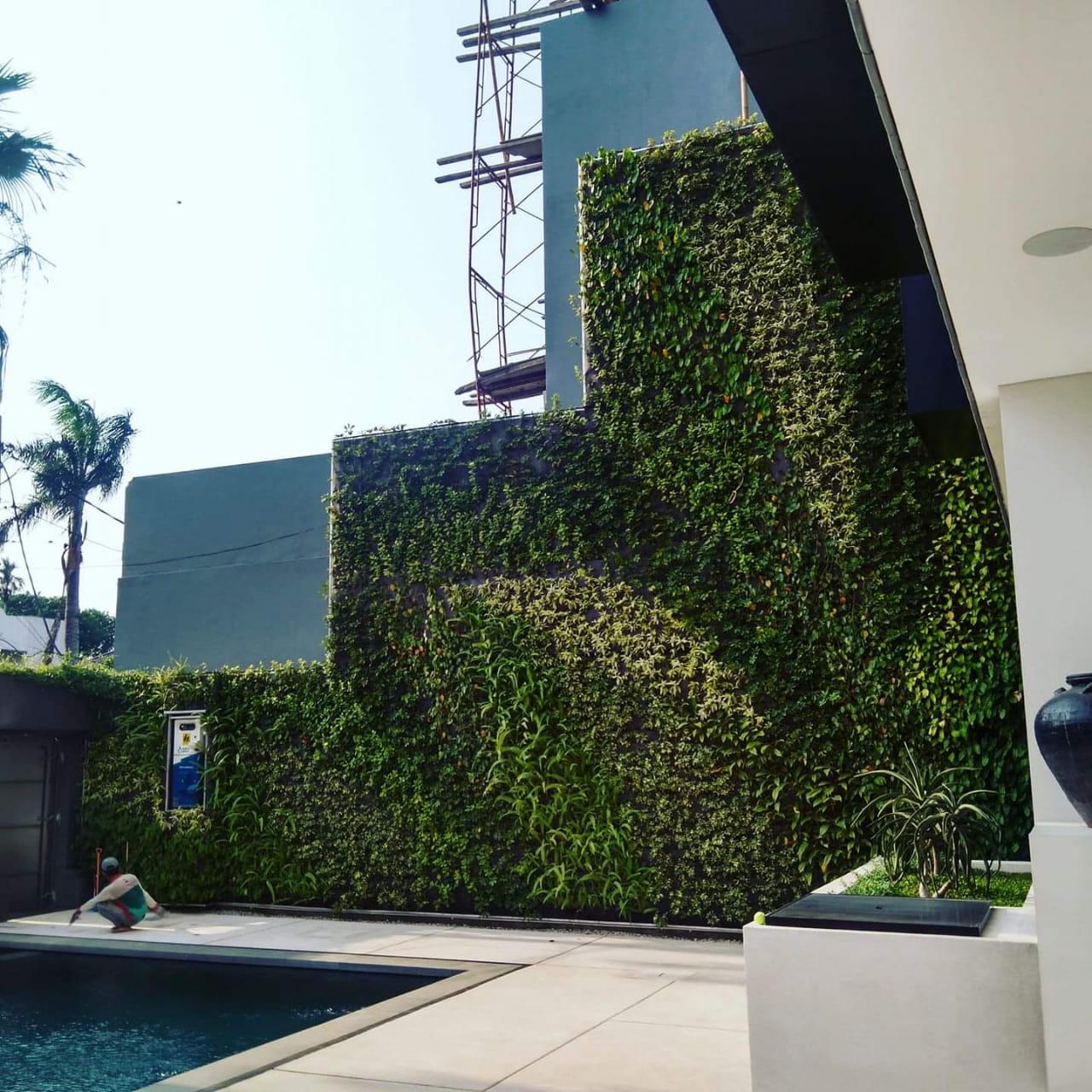 tukang taman vertikal surabaya