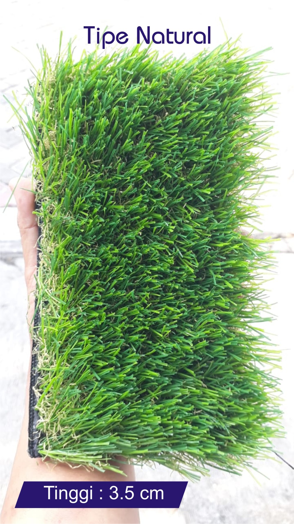 rumput sintetis murah surabaya